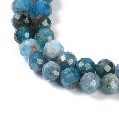 Natural Apatite Beads Strands G-N342-34-1