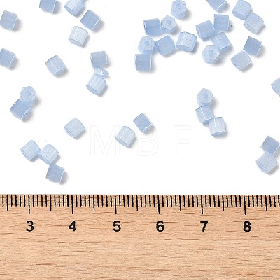 Glass Seed Beads SEED-H002-D-A813-1