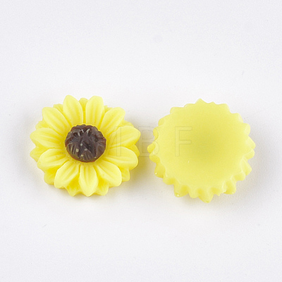 Resin Cabochons CRES-T010-60J-1
