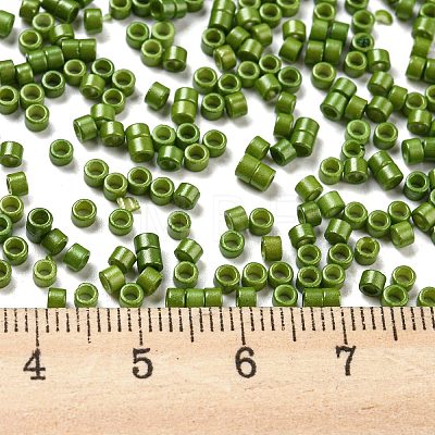 Baking Paint Glass Seed Beads SEED-S042-05A-21-1