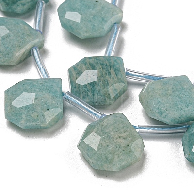 Natural Amazonite Beads Strands G-P544-C07-01-1