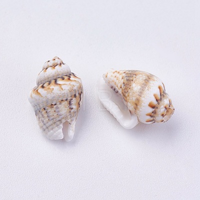 Shell Beads BSHE-P026-35-1