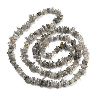 Natural Labradorite Beads Strands G-P332-23-1
