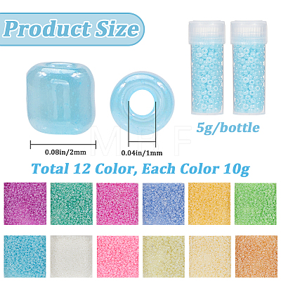 Glass Seed Beads SEED-SC0001-51B-01-1