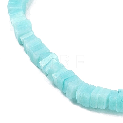 Handmade Lampwork Beads Strands LAMP-Q037-02B-09-1