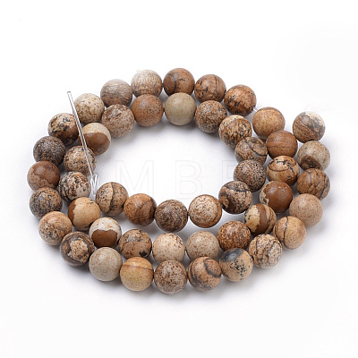 Natural Picture Jasper Beads Strands X-G-S259-27-6mm-1