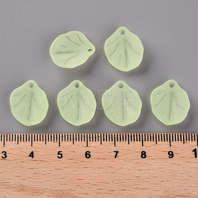 Transparent Frosted Acrylic Pendants MACR-S371-02A-728-1