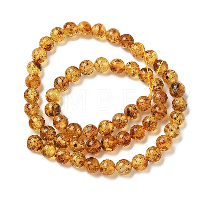 Natural Amber Beads Strands G-K387-D02-01-1