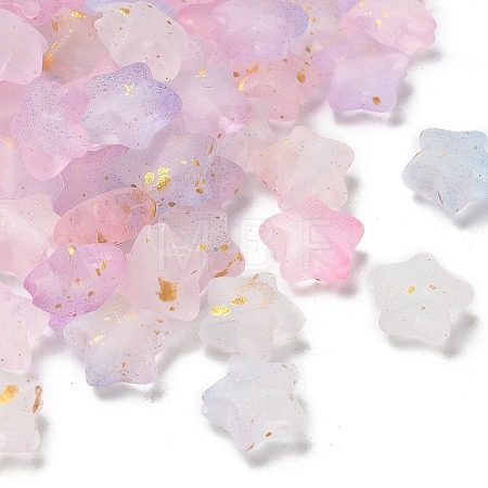 Frosted Acrylic Charms OACR-M023-04G-1