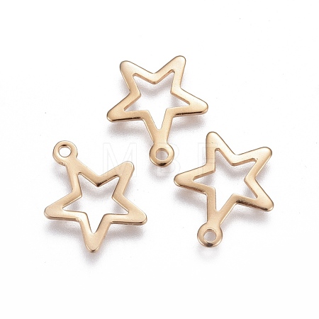 304 Stainless Steel Pendants Ion Plating(IP) STAS-F192-027G-1