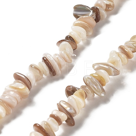 Natural Freshwater Shell Beads Strands G-M205-85B-1