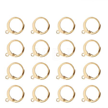 304 Stainless Steel Leverback Earring Findings A-STAS-G081-62G-1