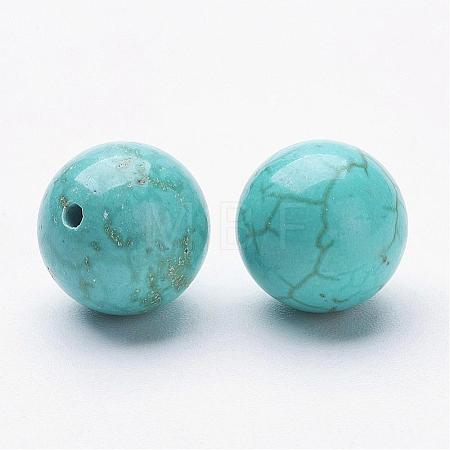 Natural Magnesite Beads G-P212-10mm-1