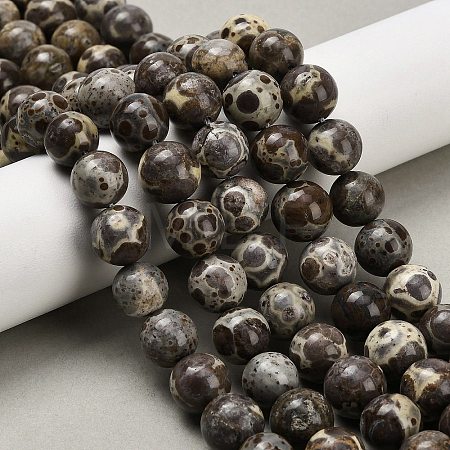 Natural Astroite Jasper Beads Strands G-F814-A01-10mm-1