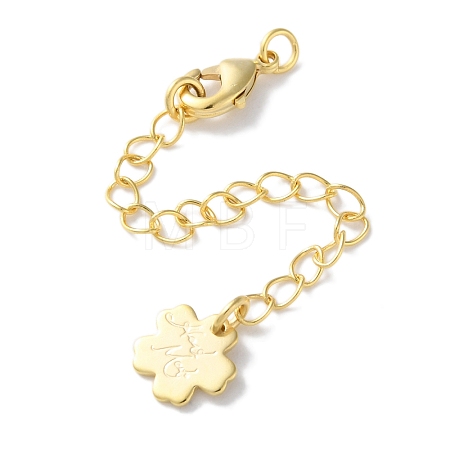 Brass Lobster Clasps & Ends with Chain KK-F880-33G-1