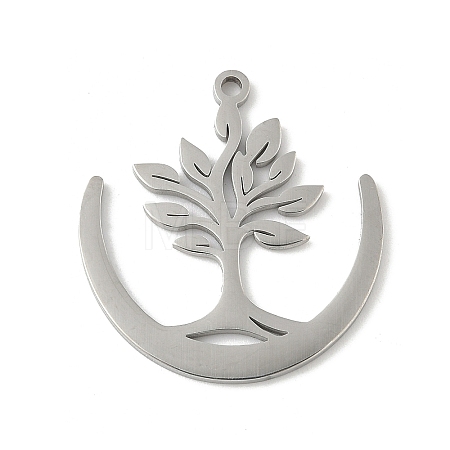 304 Stainless Steel Pendants STAS-V016-21P-1