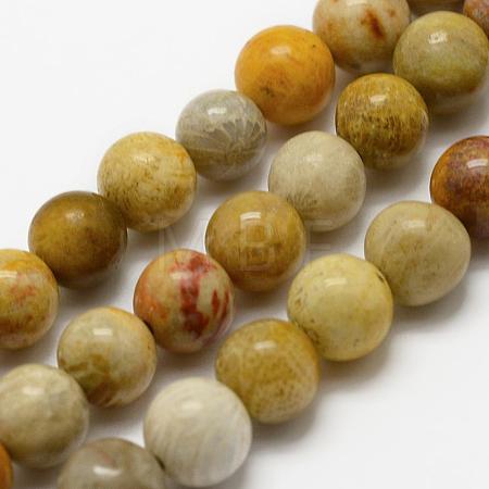 Natural Fossil Coral Beads Strands G-K194-8mm-05-1