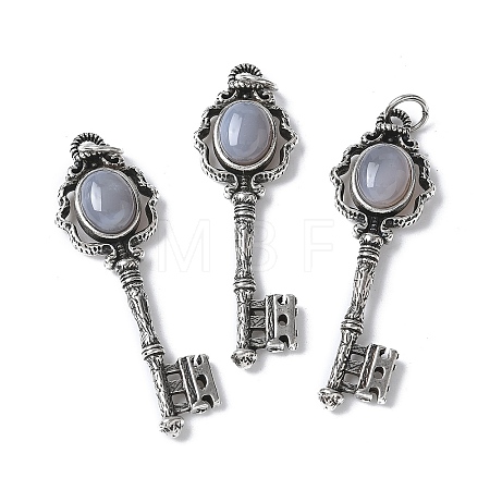 Key Brass Natural Grey Agate Big Pendants KK-D361-01AS-24-1