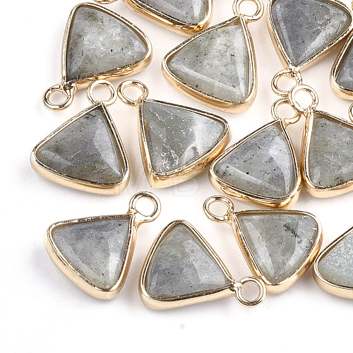 Natural Labradorite Pendants G-S344-10C-1