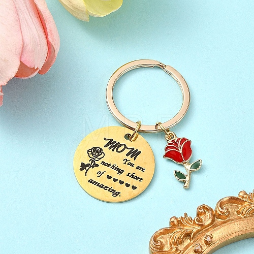 Alloy Enamel & 201 Stainless Steel Keychain KEYC-YW00101-03-1