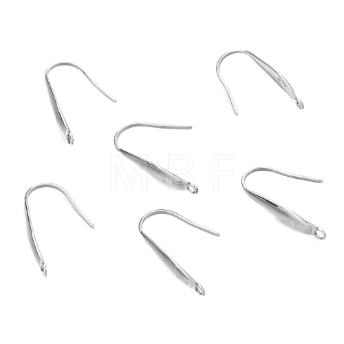 Tarnish Resistant 304 Stainless Steel Earring Hooks STAS-I179-05P-1