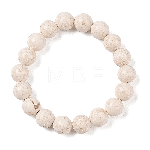 Natural Fossil Round Beaded Stretch Bracelets G-U005-01C-01-1