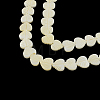Heart Natural Sea Shell Beads Strands X-SSHEL-F290-07-1