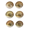 Sea Shell Stud Earrings EJEW-JE07325-3