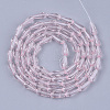 Transparent Glass Beads Strands GLAA-T009-004G-2