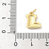 Brass Enamel Pendants KK-H534-07G-01-3