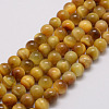 Natural Tiger Eye Bead Strands G-P230-08-E-12mm-1