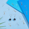 40 Pair 2 Color Brass Earring Hooks EJEW-AB00049-4