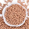 Baking Paint Glass Seed Beads SEED-K010-A21-3