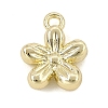 Alloy Charms AL-CBAFCDA-03G-1