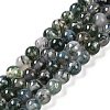 Natural Moss Agate Bead Strands X-G-J358-01-6mm-1