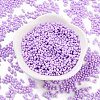 Baking Paint Glass Seed Beads X1-SEED-A033-05J-2