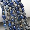 Natural Lapis Lazuli Beads Strands G-C286-A06-1