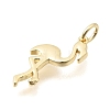 Brass Pendants KK-C255-20G-2