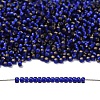 TOHO 11/0 Round Beads SEED-XTR11-0028DF-4