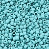 TOHO 8/0 Round Beads X-SEED-TR08-0055F-2