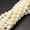 Shell Beads Strands X-SSHEL-E571-39-6mm-1