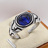 316L Surgical Stainless Steel and Synthetic Gemstone Finger Rings for Men FS-WG3E90C-06-1
