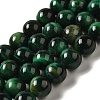 Dyed Natural Tiger Eye Beads Strands G-G102-A01-04-1