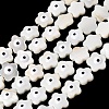 Natural Freshwater Shell Beads Strands SHEL-A006-03E-1