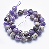 Natural Amethyst Beads Strands G-K256-52-12mm-2