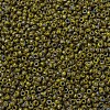 MIYUKI Round Rocailles Beads X-SEED-G010-RR4519-3