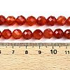 Dyed Natural Agate Beads Strands G-T141-16A-01-5