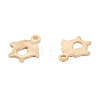 201 Stainless Steel Charms STAS-B001-48G-2