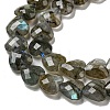 Natural Labradorite Beads Strands G-P544-E01-01-4