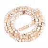 Natural Trochid Shell/Trochus Shell Beads Strands SSHEL-N040-10-2
